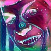 256x256