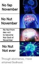 500x812