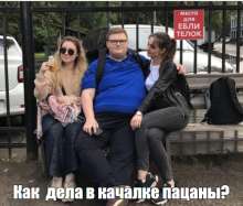 499x426
