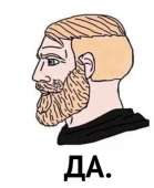 454x553