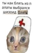 236x363