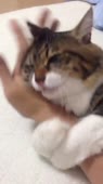 406x720