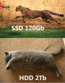 853x1080