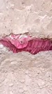 576x1024