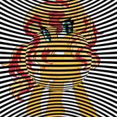 500x500