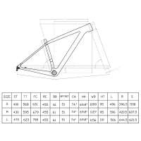 800x800