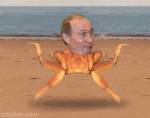 636