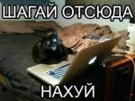 61