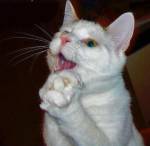 59