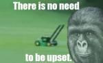 1040