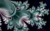 1200x750