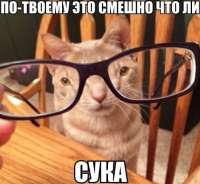 500x462
