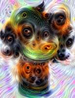 209x270