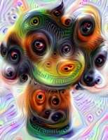 209x270