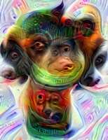 209x270