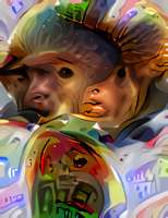 209x270