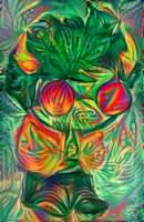 163x249