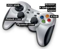 455x377
