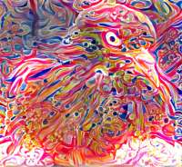 625x576