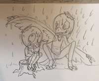 717x591