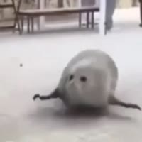 360x360