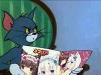 900x675