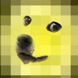 500x500