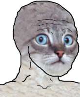 328x400