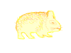 39