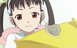 221