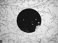 300