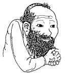 80