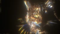 900x506