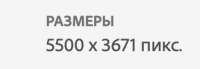 332x116