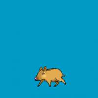 283x283