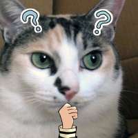 65