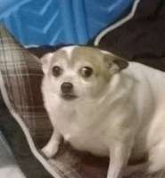 32