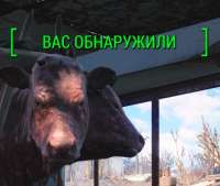 165