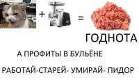 1297x768