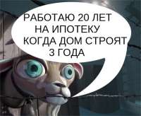 591x487