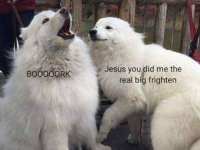 500x375