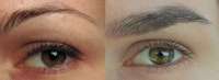 600x219