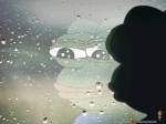 73
