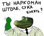 51
