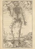 131