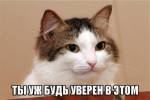 234
