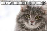 141
