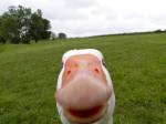 111