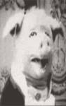 795