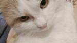 71